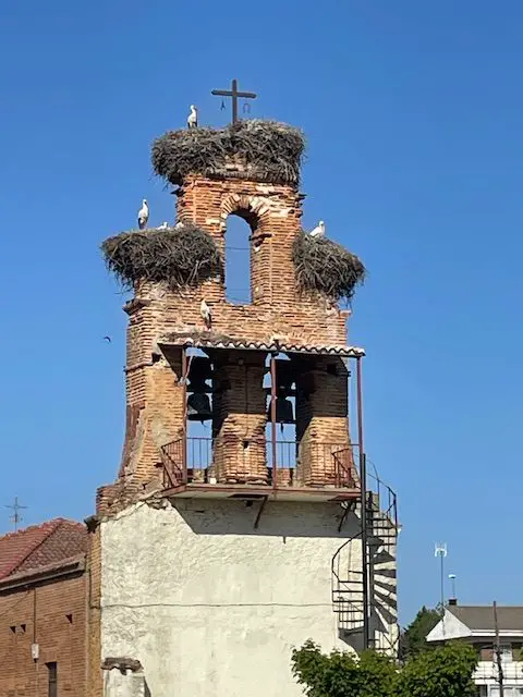 Stork´s Nests on the Tower of Iglesia de Santa Engracia in Valverde de la Virgen